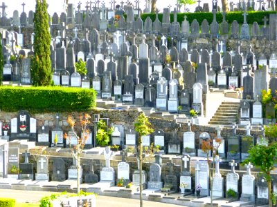 San Sebastián - Cementerio de Polloe 167