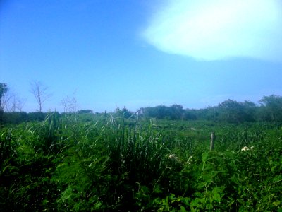 San Pedro Chacabal, Yucatán (03)