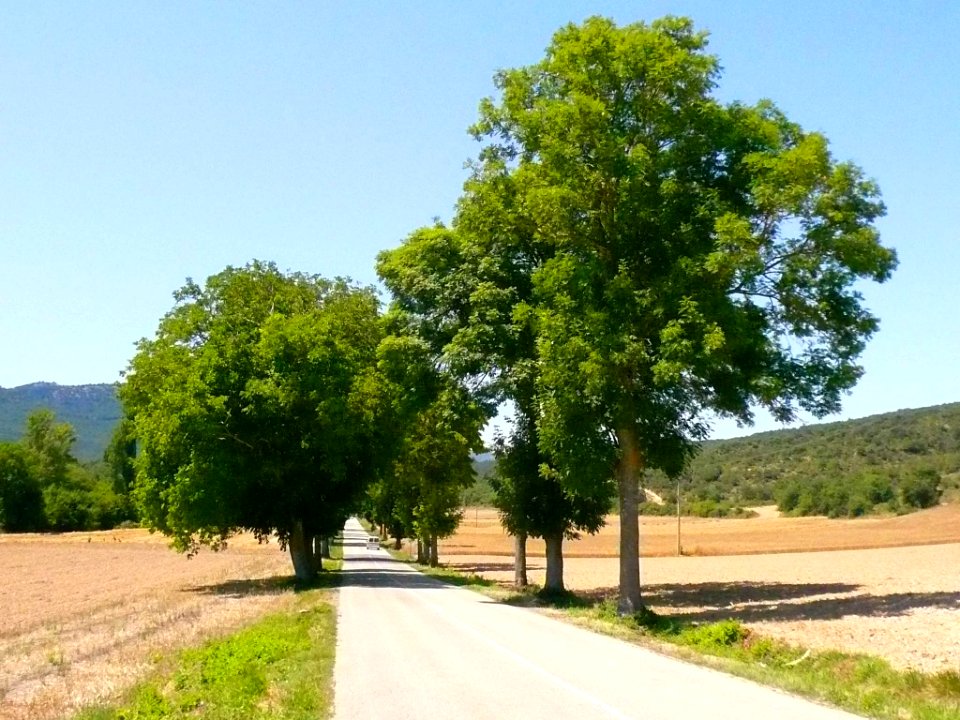 San Millán de San Zadornil 05