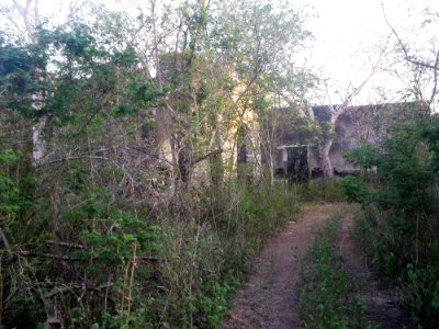 San Pedro Cholul, Yucatán (09)