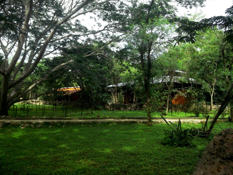 San Pedro Ochil, Yucatán (03)