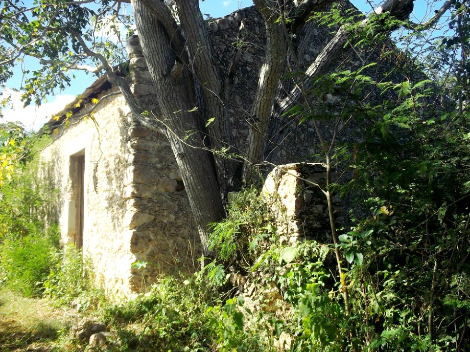 San Juan Xcotún, Yucatán (04)