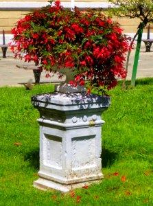 San Sebastián - Jardines de Reina Regente 5