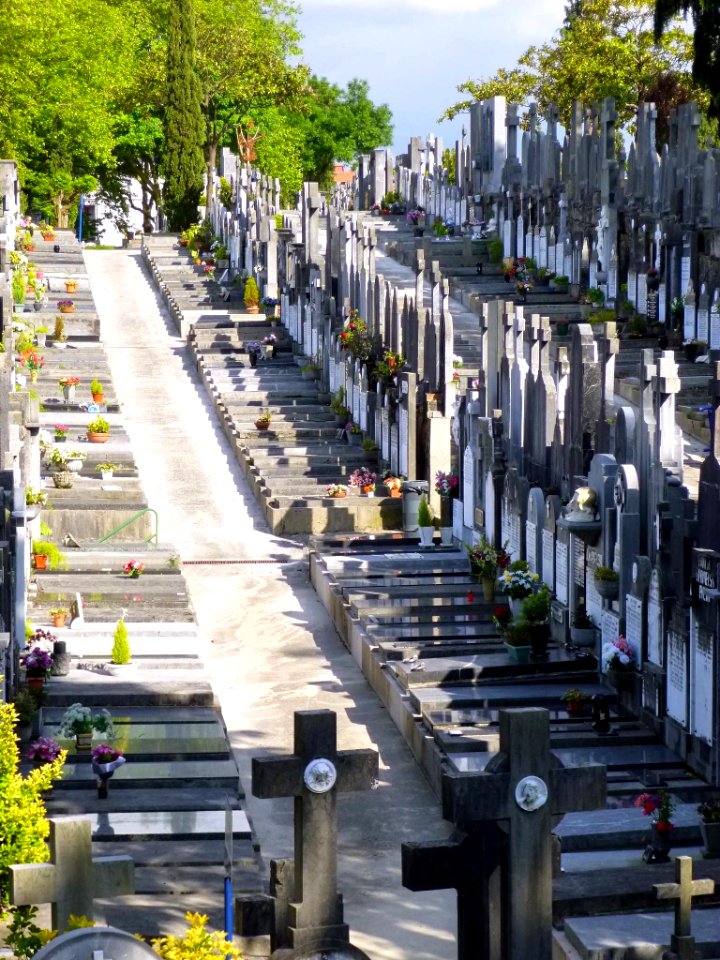 San Sebastián - Cementerio de Polloe 168
