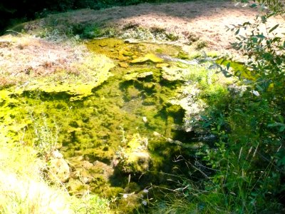 San Zadornil - Metrópoli Verde (Parque Natural de Montes Obarenes-San Zadornil) 16