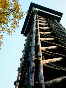 Wood wooden construction observation deck