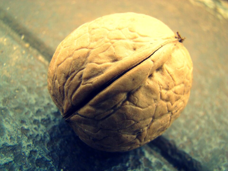The background nature macro