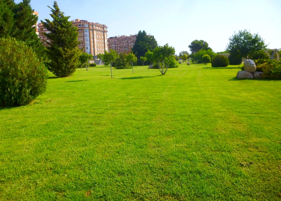 San Vicente del Raspeig - Parc L'hort de Torrent 7