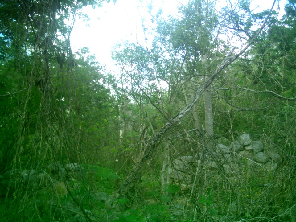 San Pedro Cholul, Yucatán (07)