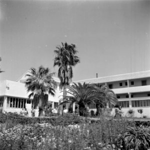 Sanatorium behorend bij kibboets Kiwath Brenner, Bestanddeelnr 255-0557 photo