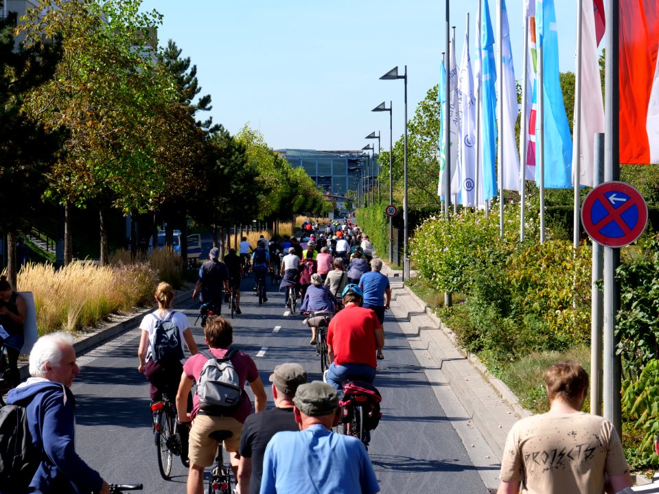 Sand im Getriebe protest 2019 bike finger 53