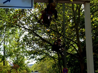 Sand im Getriebe protest 2019 climbing 03