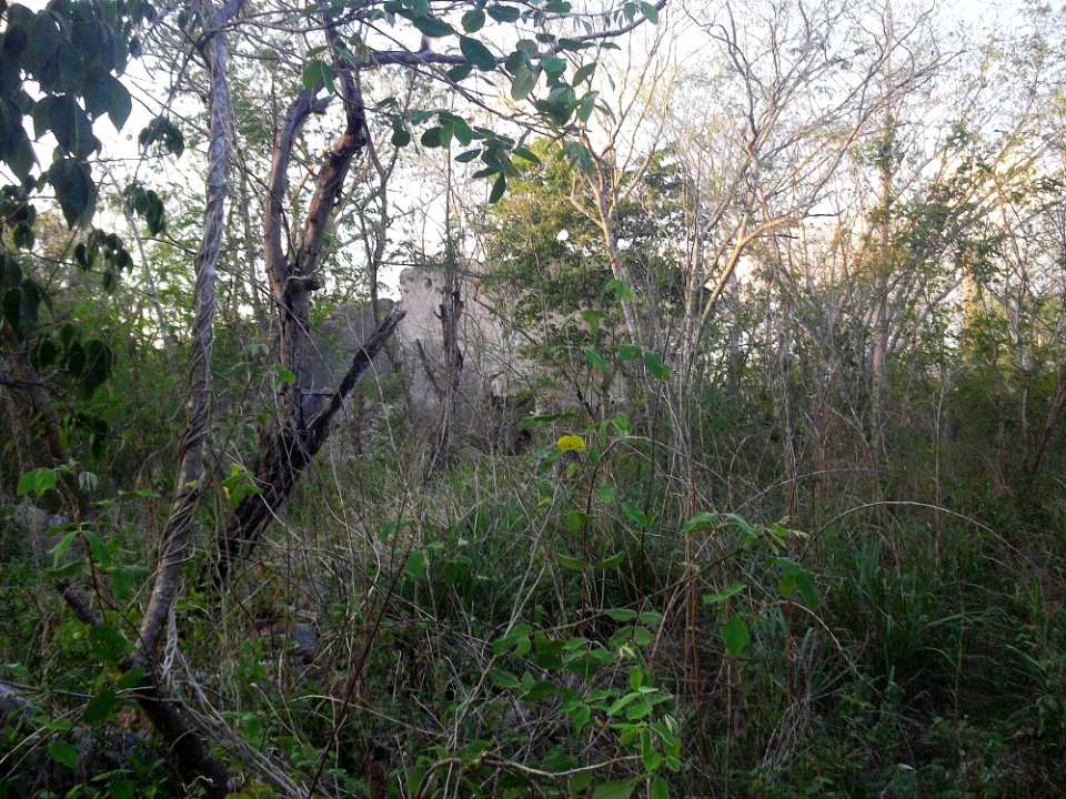 San Pedro Cholul, Yucatán (13)