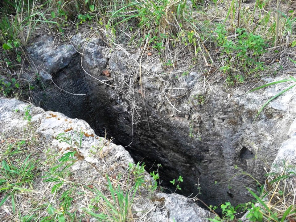 San Pedro Cholul, Yucatán (24)