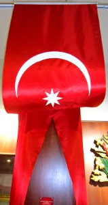 Sancak kırlangıç model hilal ve yıldızlı