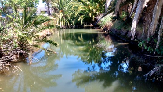 San Rafael Creek 1