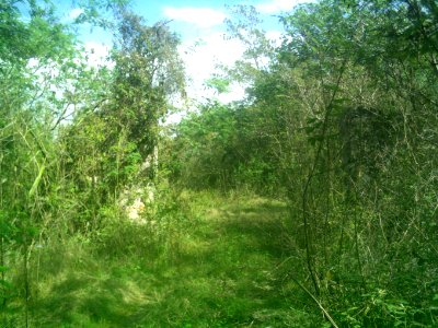 San Pedro Cholul, Yucatán (03)