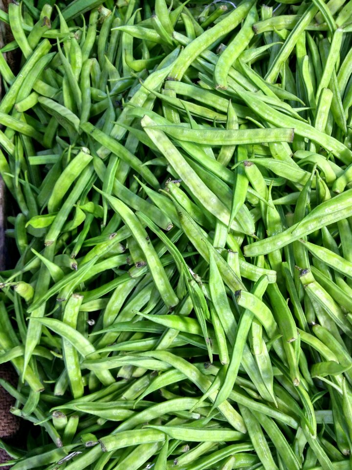 Green healthy vegan