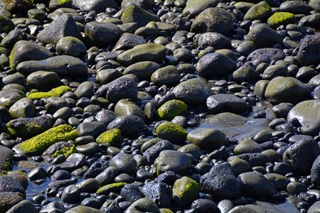 Wet nature sea photo