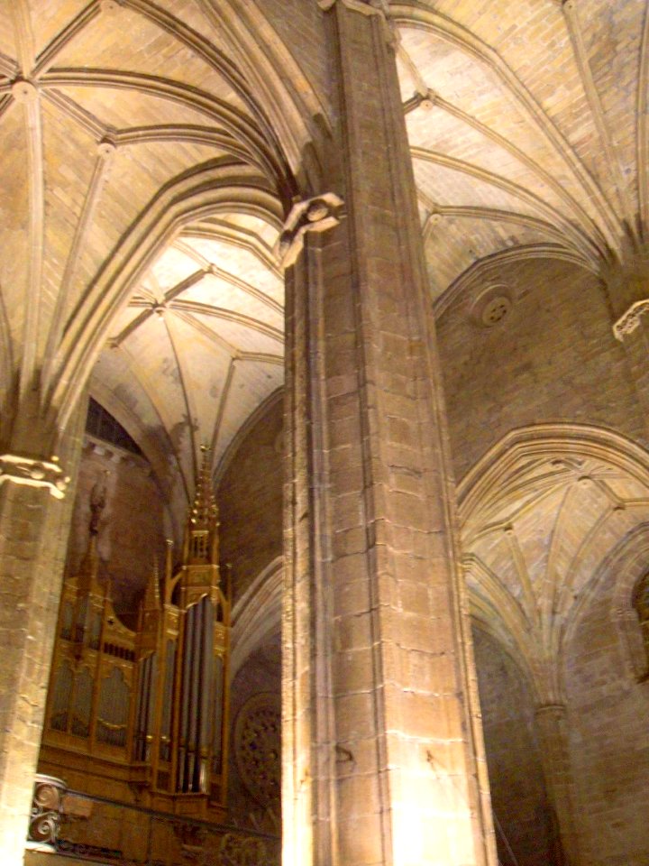 San Sebastian - Iglesia de San Vicente Mártir 35