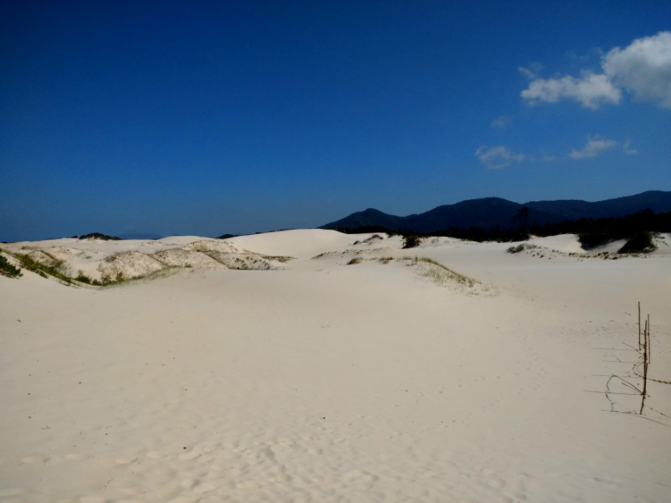 Sand dunes in Florianópolis