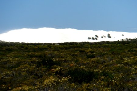 Sand dune near Pinnacles