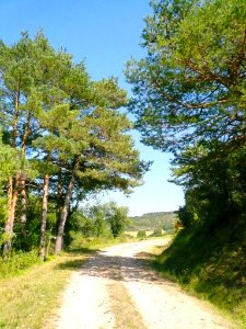 San Zadornil - Metrópoli Verde (Parque Natural de Montes Obarenes-San Zadornil) 20