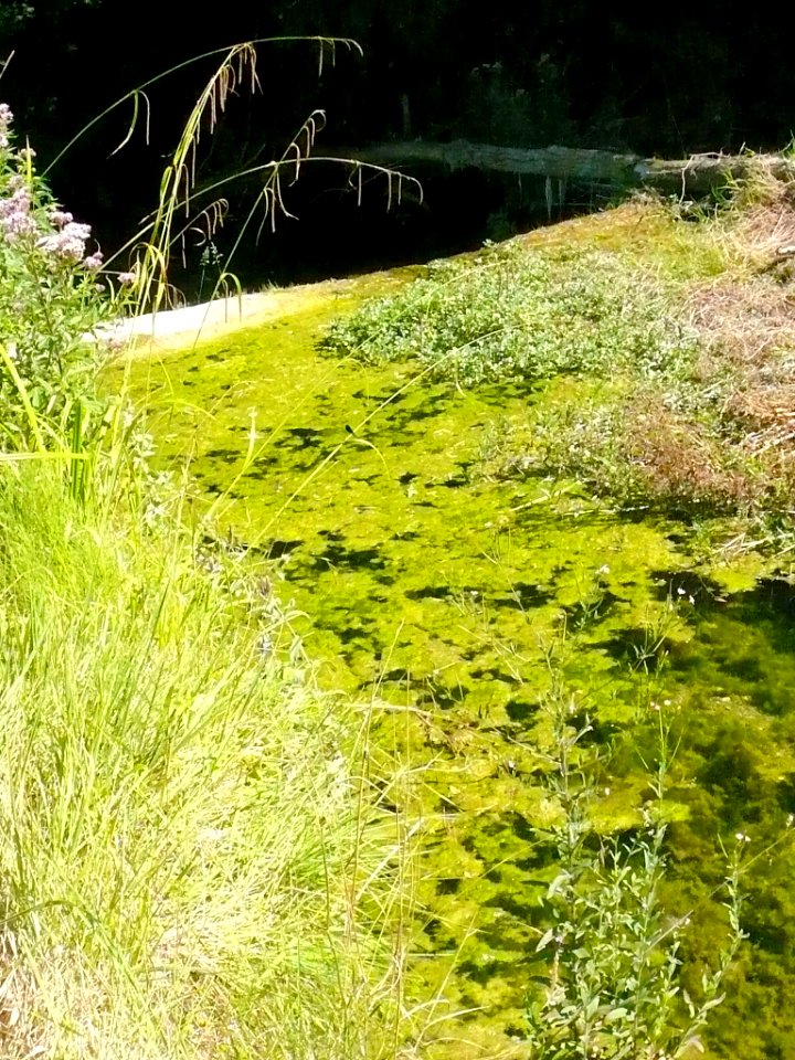 San Zadornil - Metrópoli Verde (Parque Natural de Montes Obarenes-San Zadornil) 17