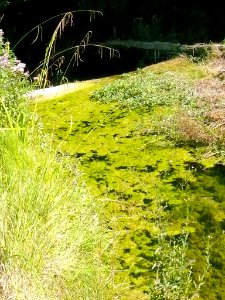 San Zadornil - Metrópoli Verde (Parque Natural de Montes Obarenes-San Zadornil) 17