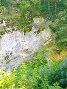 San Zadornil - Metrópoli Verde (Parque Natural de Montes Obarenes-San Zadornil) 18