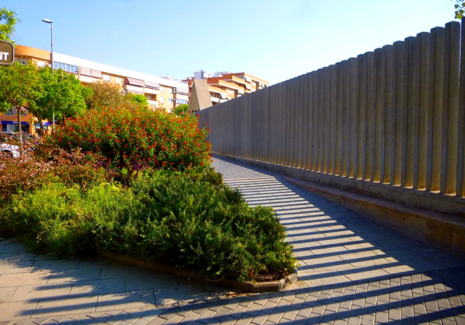 San Vicente del Raspeig - Parc L'hort de Torrent 8