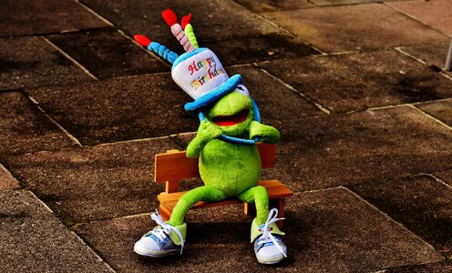 Frog greeting card joy