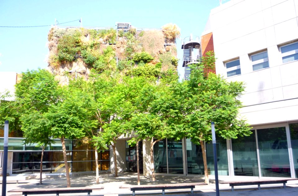 San Vicente del Raspeig - Auditorio Centro Social y Jardín Vertical 2