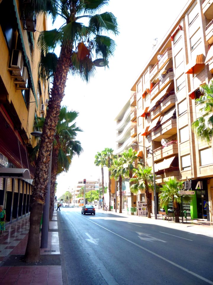 San Vicente del Raspeig - 09