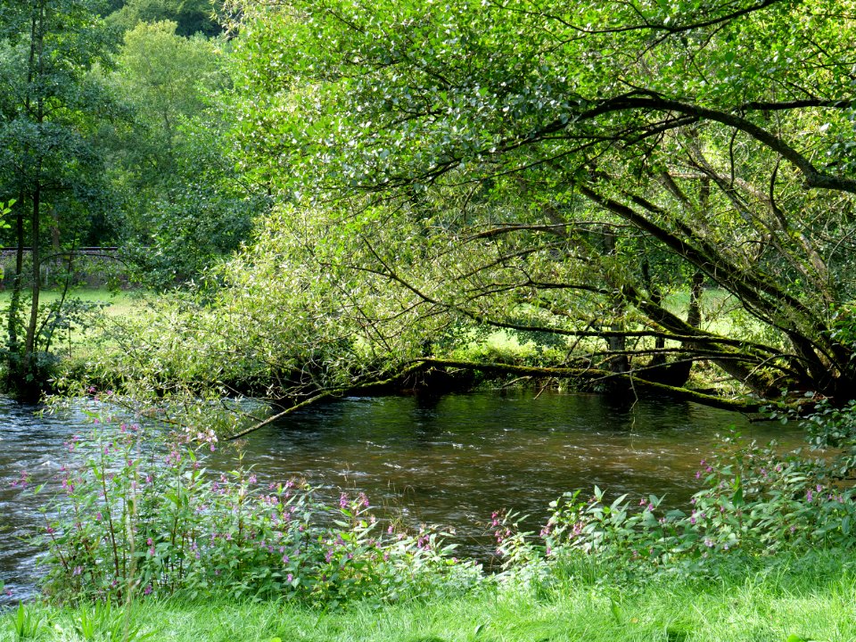 Rur between Nideggen-Brück and Heimbach in September 2019 02