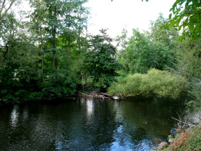 Rur between Nideggen-Brück and Heimbach in September 2019 05