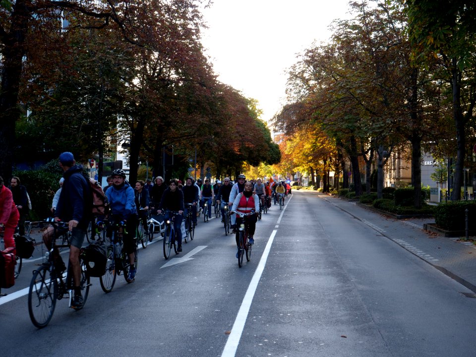 Sand im Getriebe protest 2019 bike finger 03