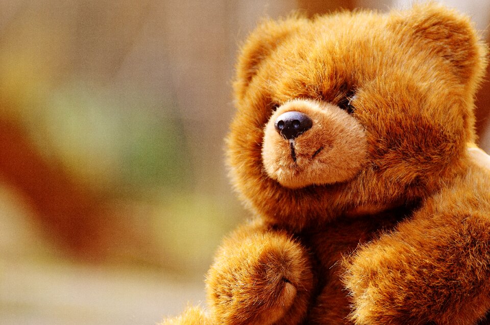 Stuffed animal teddy bear brown bear