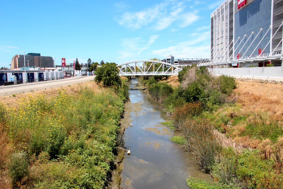 San Tomas Aquino Creek near Levi's Stadium