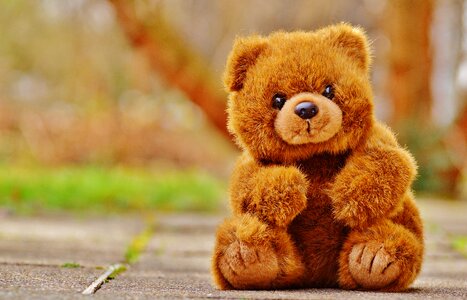 Stuffed animal teddy bear brown bear photo