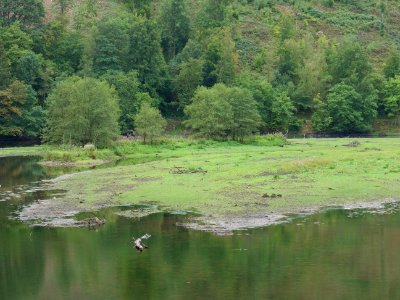 Rur from B266 bridge 05