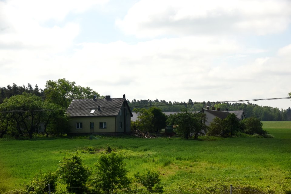 Rural landscape in Podlaskie Voivodeship 3978 May 2019