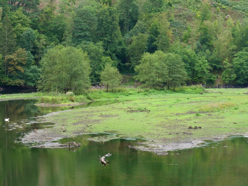 Rur from B266 bridge 06
