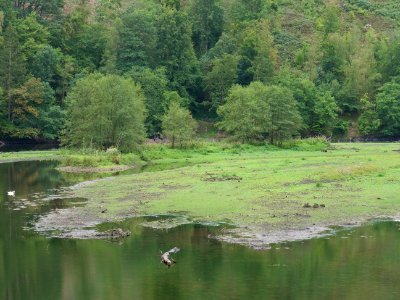 Rur from B266 bridge 06