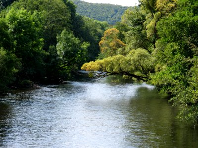 Rur between Nideggen-Brück and Heimbach in September 2019 18