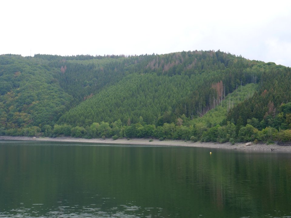 Rurtalsperre from Rurberg in September 2019 20