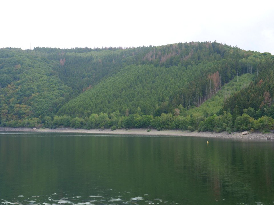 Rurtalsperre from Rurberg in September 2019 21