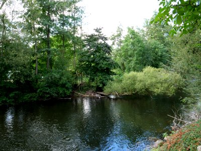 Rur between Nideggen-Brück and Heimbach in September 2019 06