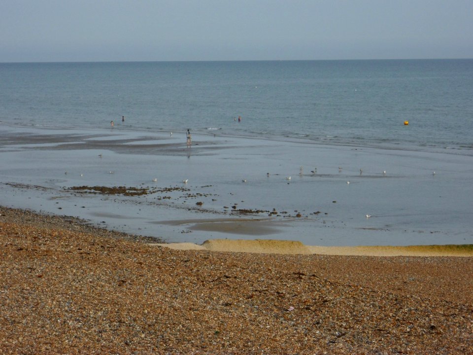 Sand at Low Tide at Hove Beach (August 2013) (2)