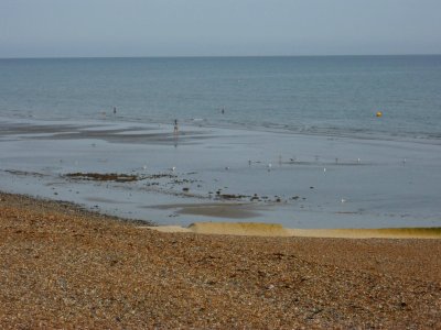 Sand at Low Tide at Hove Beach (August 2013) (2)
